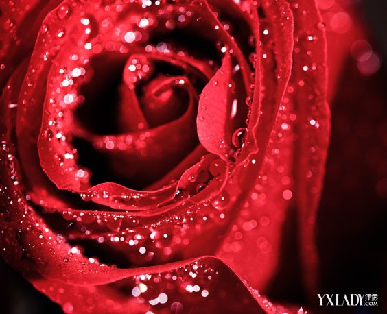 ky开元集团官网入口