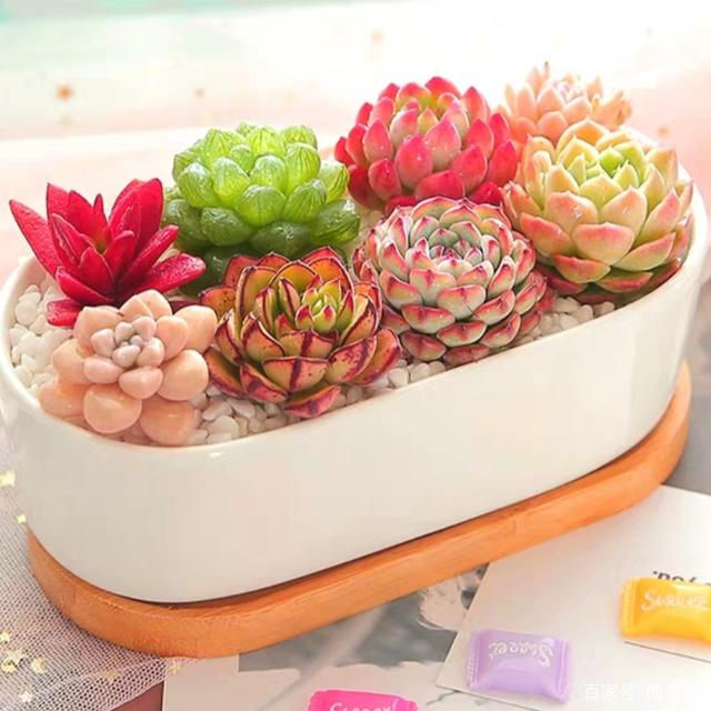 “KY开元集团官网”2008山东省旅游工作会议在济南召开