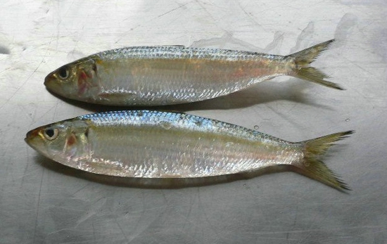 福建省出台银行机构服务民营企业发展激励评价暂行办法‘KY开元·(中国)集团’