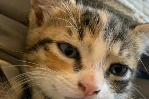 ky开元集团官网入口-美团旅行温泉大数据，90后最爱泡温泉