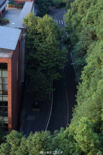 ky开元集团官网入口