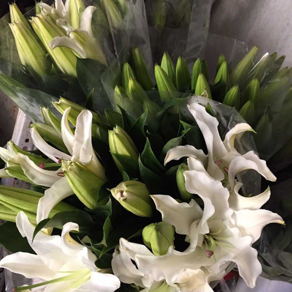 KY开元·(中国)集团