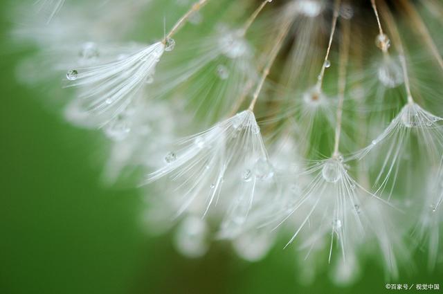 KY开元·(中国)集团