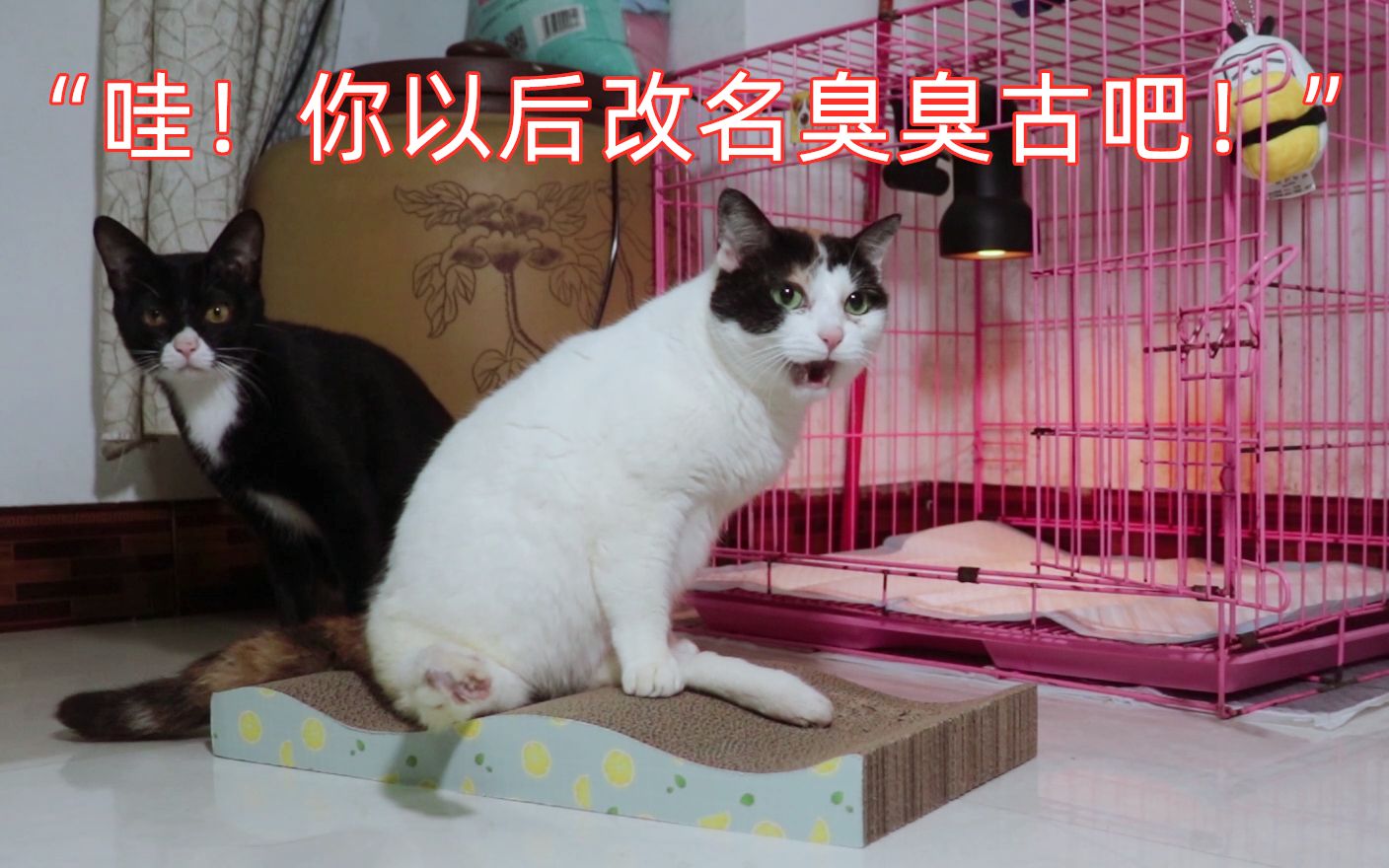 KY开元·(中国)集团-
旅游与情况学院2020年度奥运礼仪培训发动大会圆满竣事(图7) ky开元集团官网入口